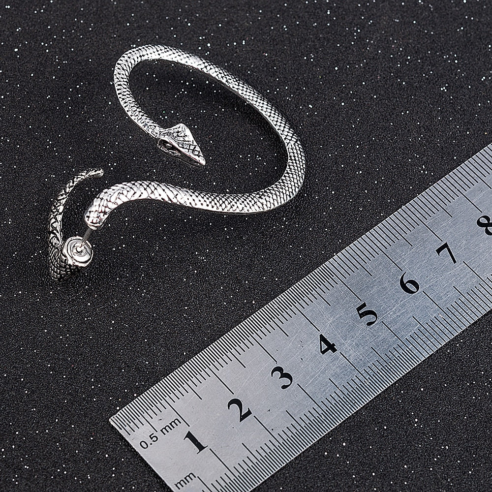 Pendientes de Serpiente en Plata 925